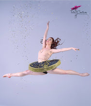 Contemporary Origami Tutu Course Book and Plate Pattern Set PDF Digital Download
