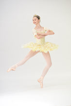 Serpentine Tutu Base Course and Full Plate Pattern Set PDF Digital Download